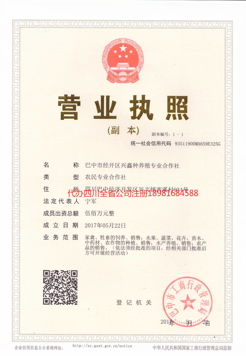 大安大安兴鑫种养殖专业合作社